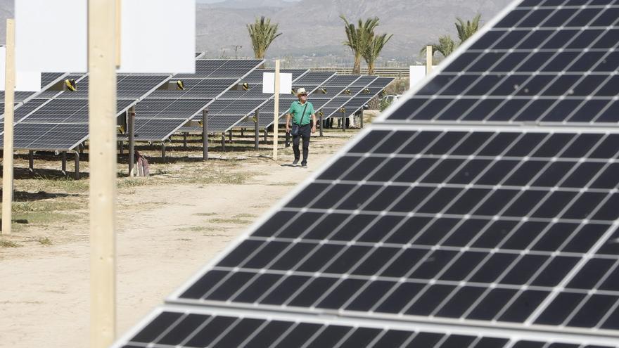 Ecologistas alegan contra la nueva megaplanta solar por amenazar a 115 hectáreas de alto valor agrícola