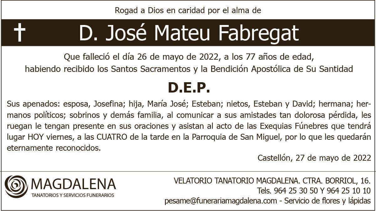 D. José Mateu Fabregat