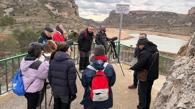 El objetivo de esta iniciativa era dar a conocer especies como el águila real o el cernícalo.