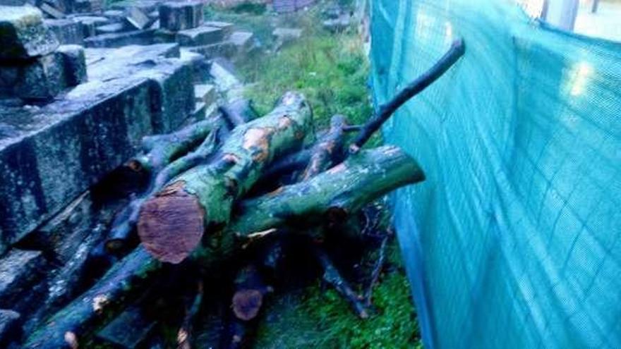 Restos de la madera apilada en la finca municipal en Massó.  // G.N.