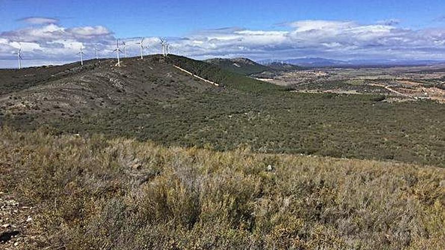 Vista de la Sierra de Carpurias y de los molinos de energía eólica al fondo.