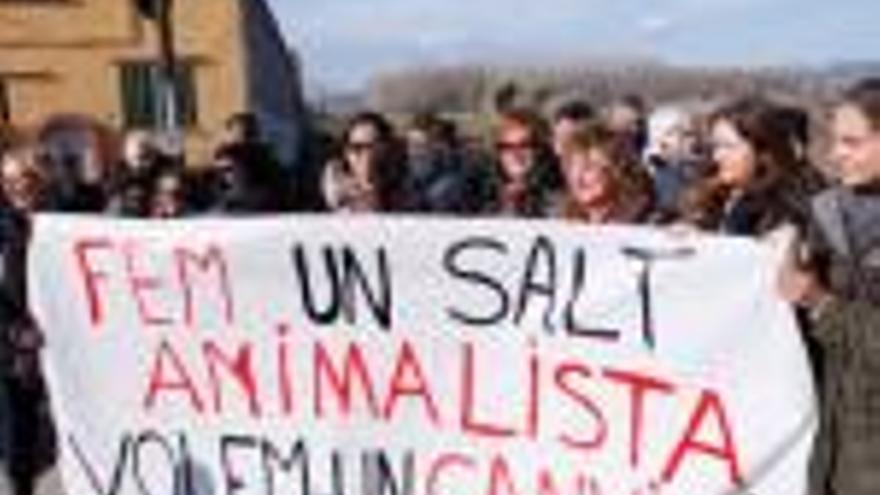 Salt prohibirà que  hi hagi animals en males condicions a les hortes