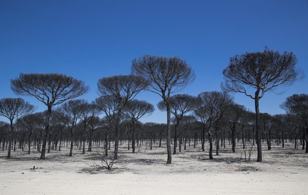 Incendio en Huelva