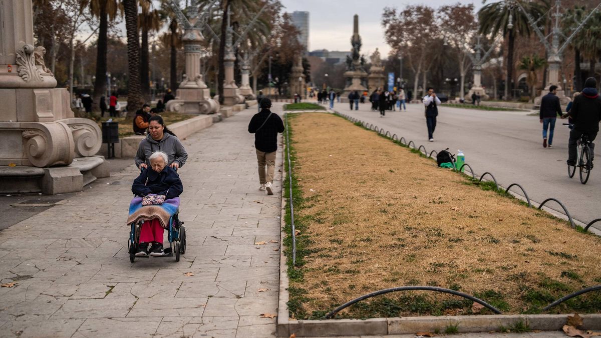 Parterre seco en el paseo de Lluís Companys, en Barcelona.