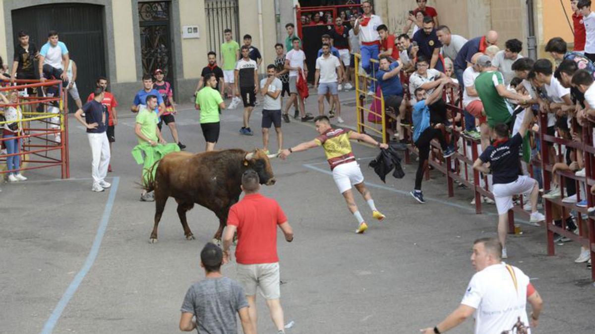 Un corredor toca el asta al Toro de Cajón.