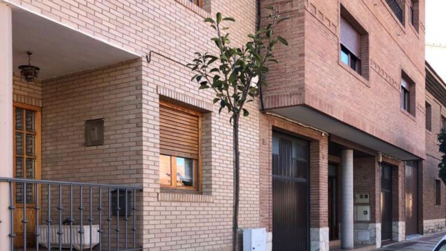Uno de los ejemplares plantados en las zonas ajardinadas. | SERVICIO ESPECIAL