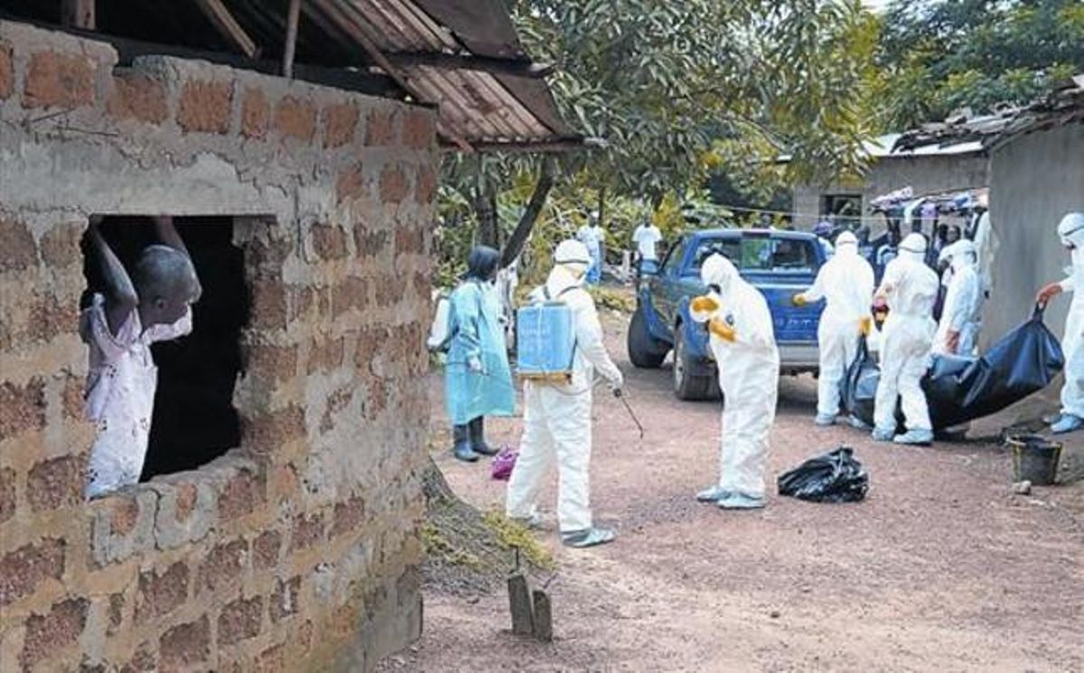 Personal sanitari retira el cos d’una víctima mortal de l’Ebola a Banjol, a 30 quilòmetres de Monròvia, la capital de Libèria, dijous passat.