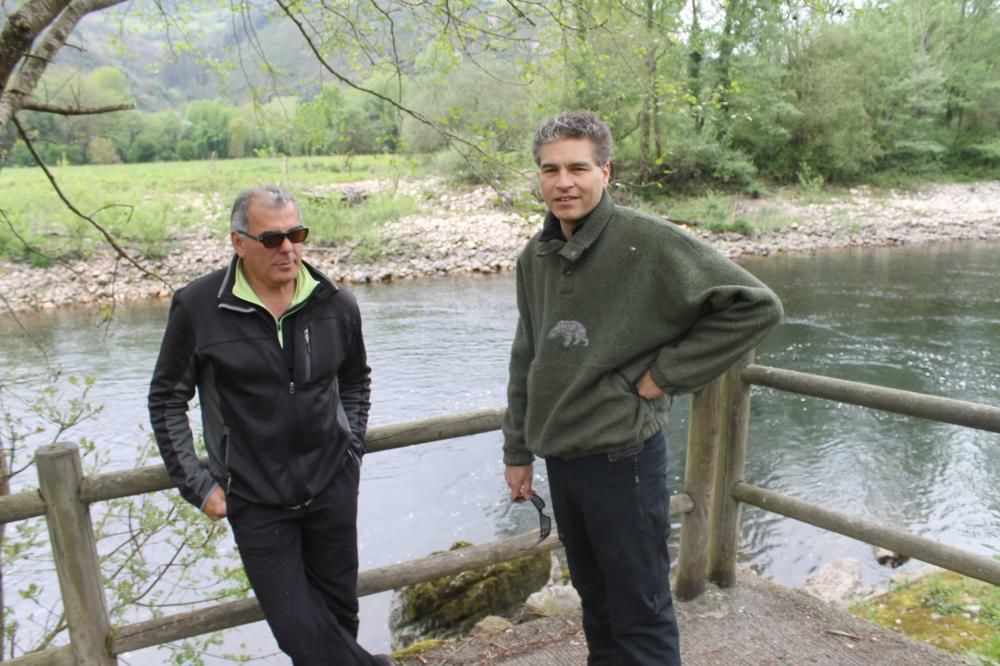 Asturias se prepara para capturar el Campanu