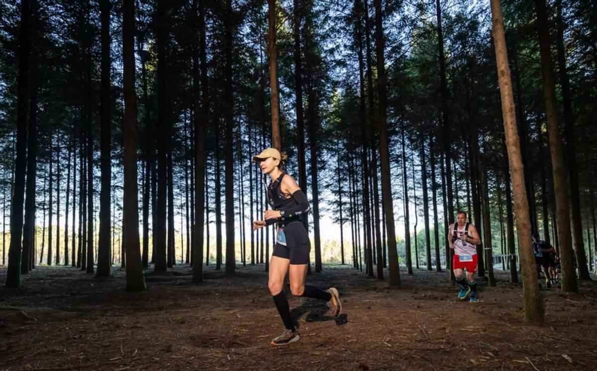 La carrera recorrió el cinturón forestal. | |