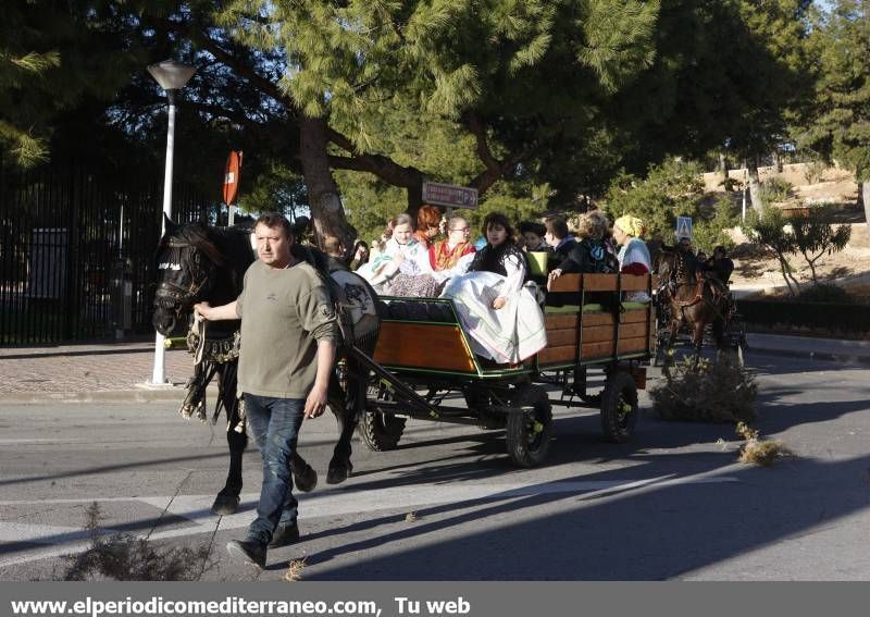 GALERÍA DE FOTOS -- Orpesa celebra Sant Antoni con carreras y bendición de animales