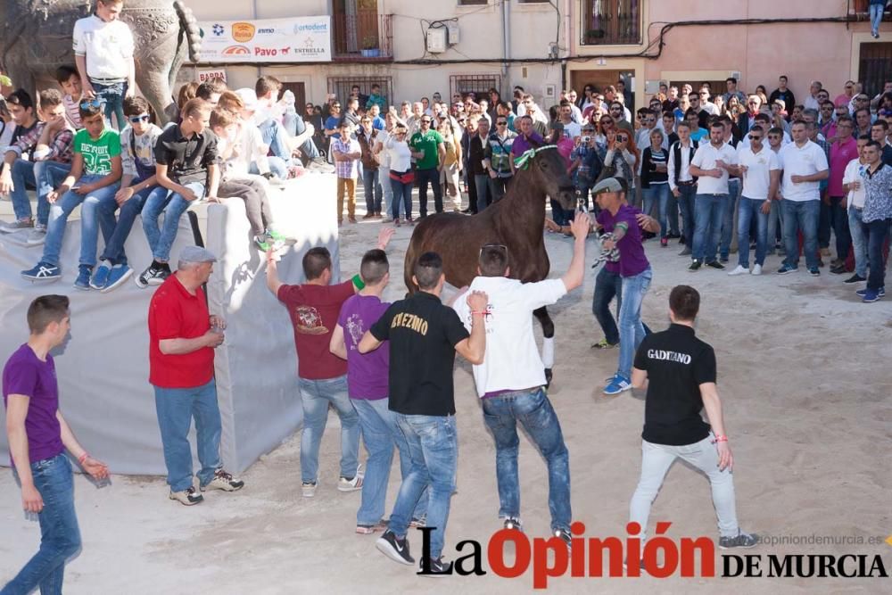 Día uno de mayo, entrada de caballos al Hoyo