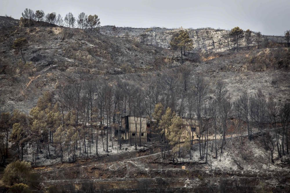 Incendio forestal en Carcaixent