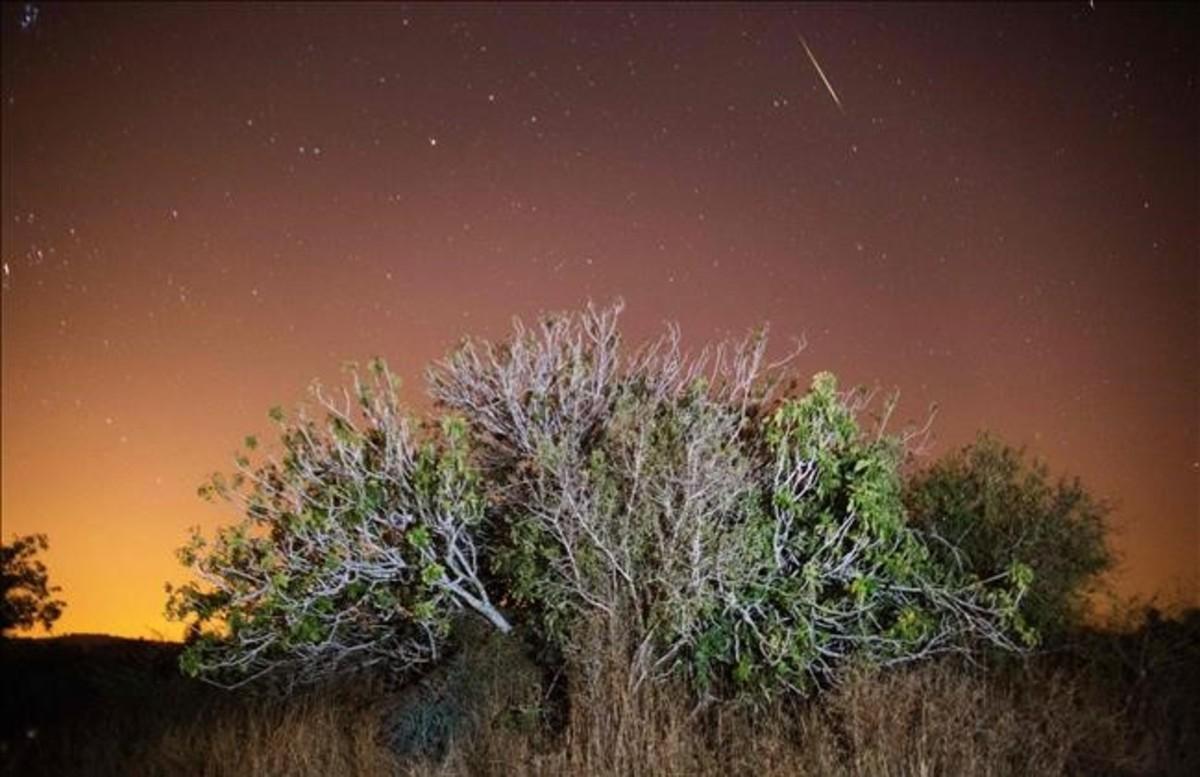 Lluvia de perseidas en Luzit, Israel.