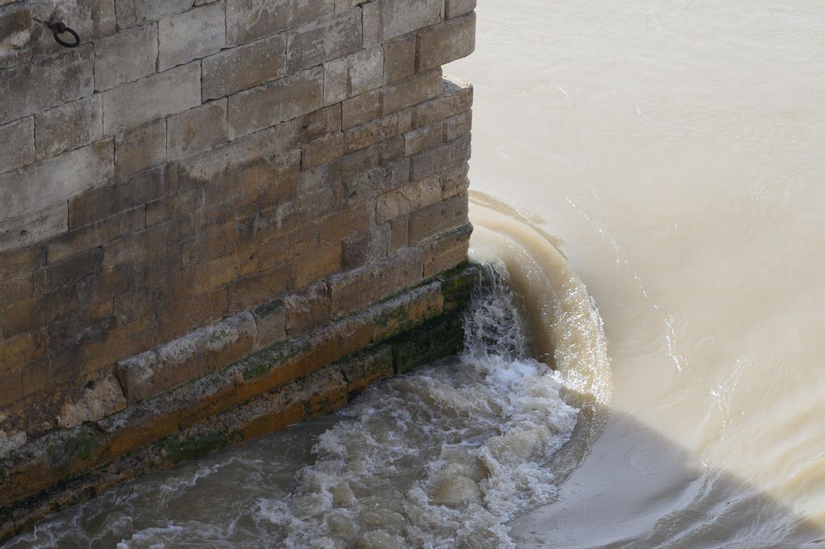 EN IMÁGENES | Crecida del río Ebro a la altura de Zaragoza