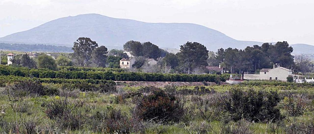 Terrenos de la partida de la Garrofera. | V. M. P.