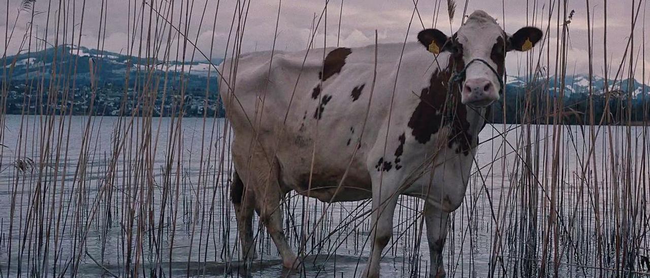 Fotograma de Europa, el corto ganador de Lucas del Fresno. | INFORMACIÓN