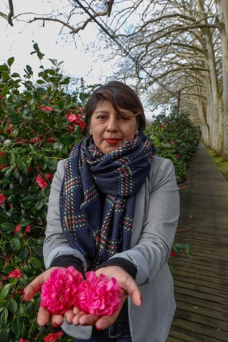 Camelias en el Botánico