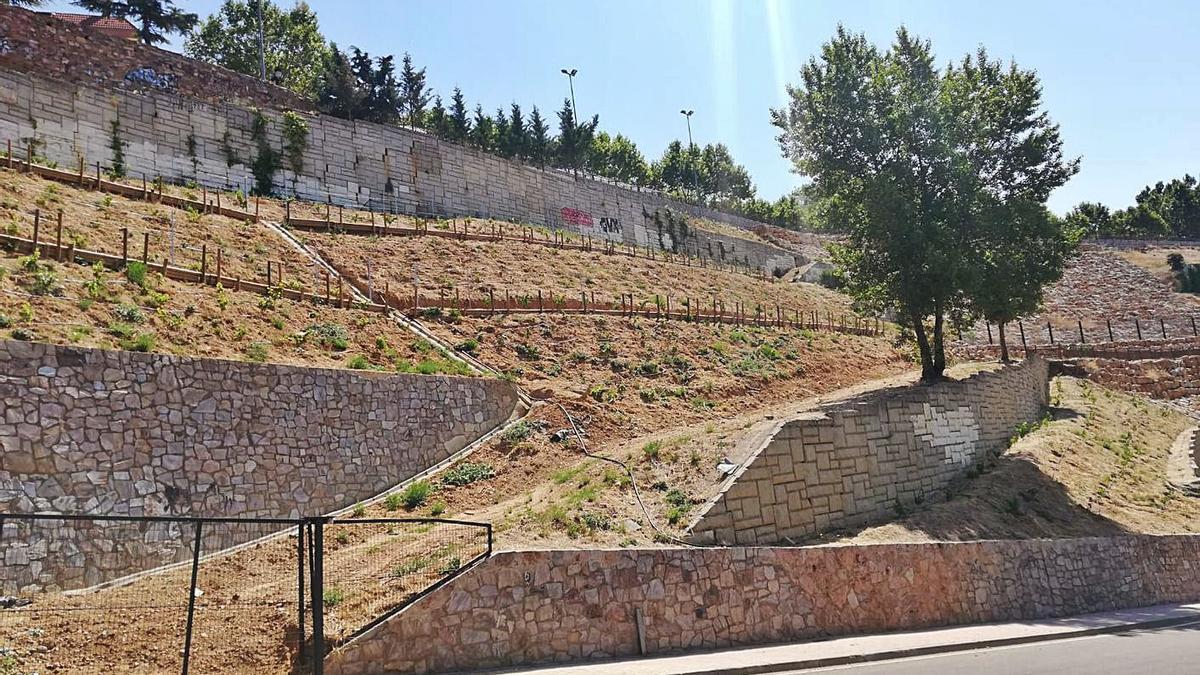 Aspecto que presentaba ayer la zona de acceso a los bancales con vides de diversas variedades de uva.| J. A. G.