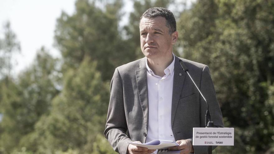 Òscar Ordeig, conseller d’Agricultura: «Si la pesta porcina evoluciona com fins ara podríem flexibilitzar restriccions»