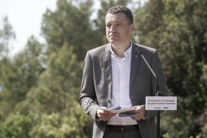 Òscar Ordeig, conseller de Agricultura: "Si la peste porcina evoluciona como hasta ahora, podríamos flexibilizar restricciones en Collserola"