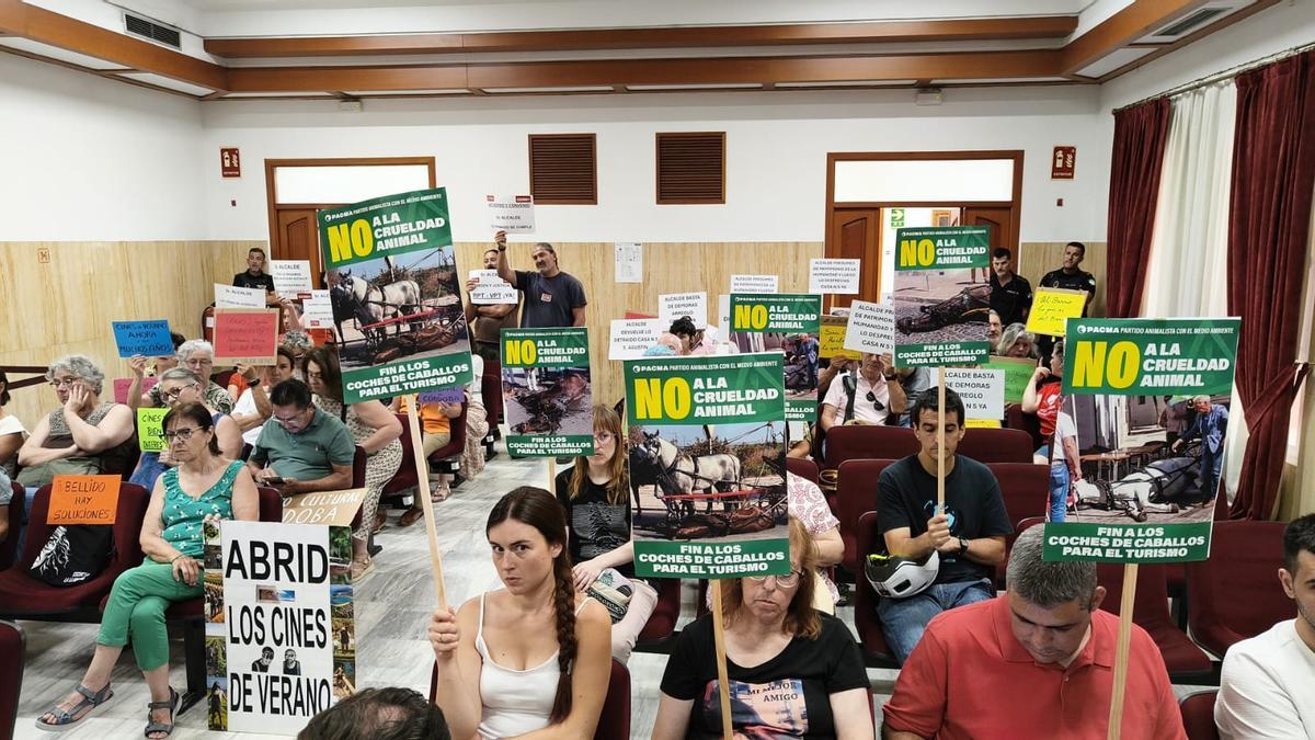 Imagen del salón de plenos con protestas por los cines de verano, la reanudación de las exhumaciones y la condena al maltrato animal.