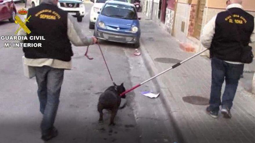 Detenidos 22 ladrones de perros de caza