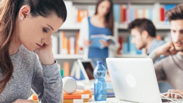 La oferta de grados universitarios ha aumentado un 13%.