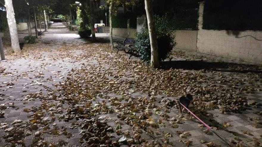 Llega el otoño a Cáceres