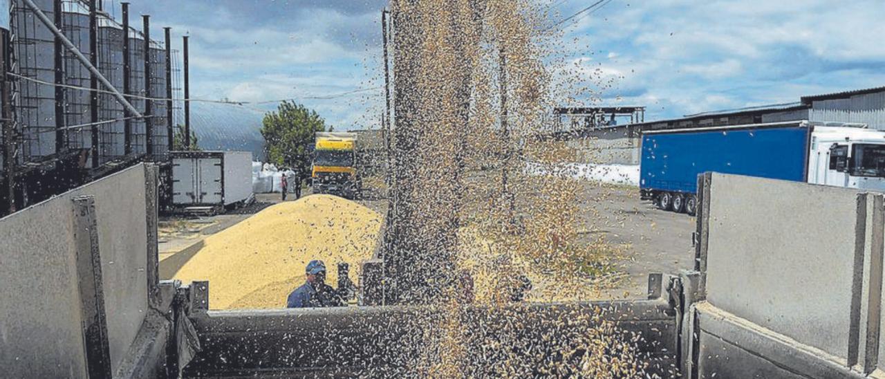 Un camió carrega cereal a Odessa. | REUTERS