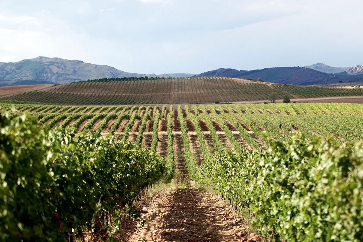 Finca Río Negro