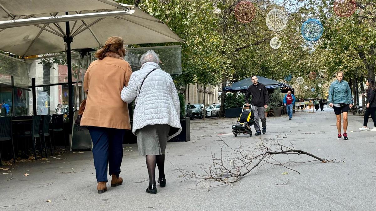 Árbol caído en la rambla de Catalunya de Barcelona por los fuertes vientos