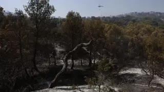 ¿Qué es una tormenta seca? Así es el peligroso fenómeno que aumenta el riesgo de incendios