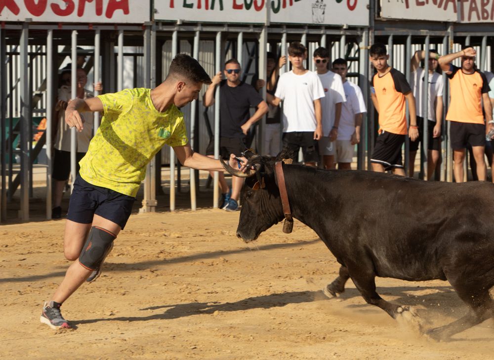 Jueves de vaquillas en las fiestas de Sagunt