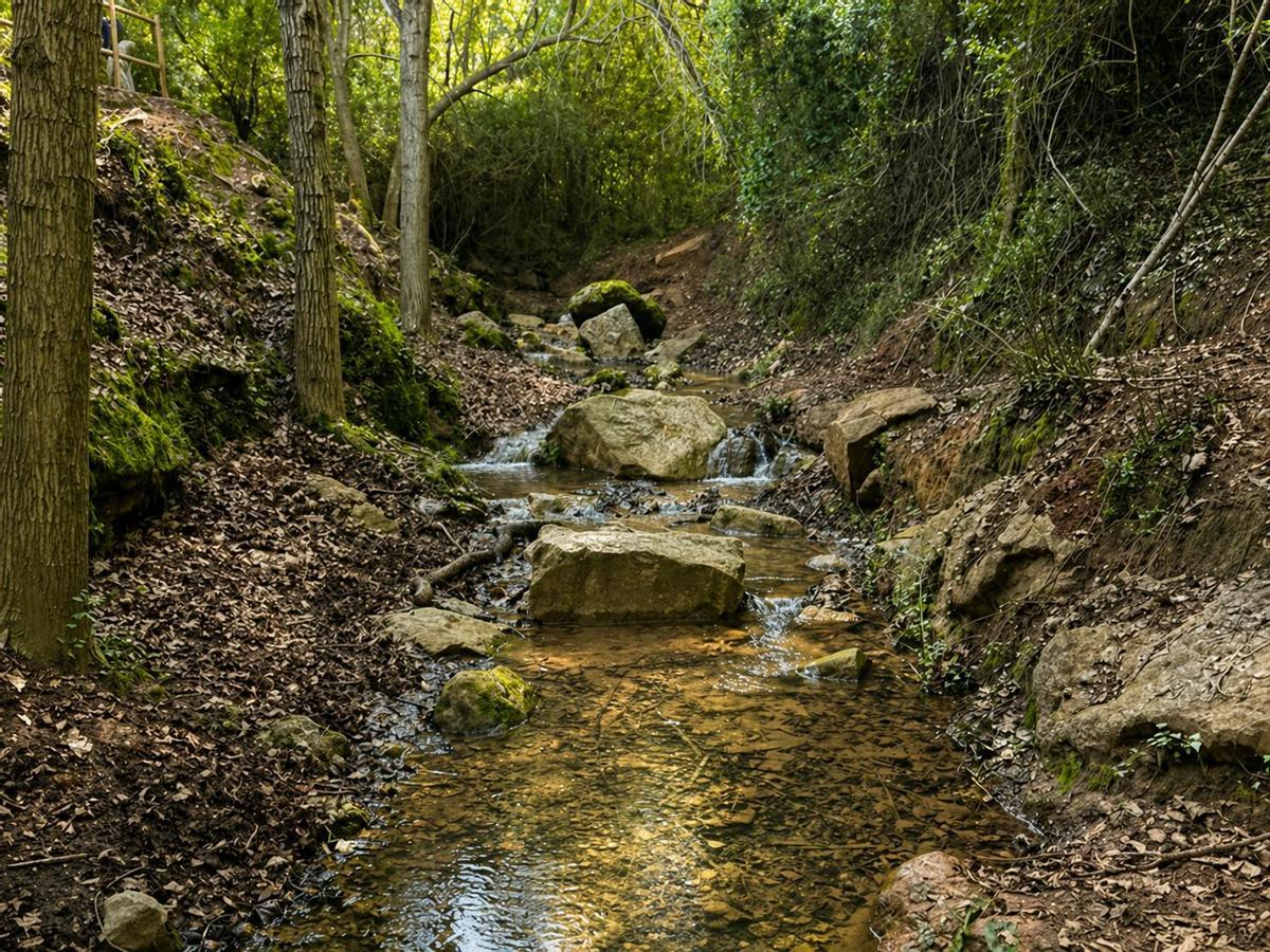 Torrent dels Bufadors, en la ruta de la Font de les Rovires de Pallejà.