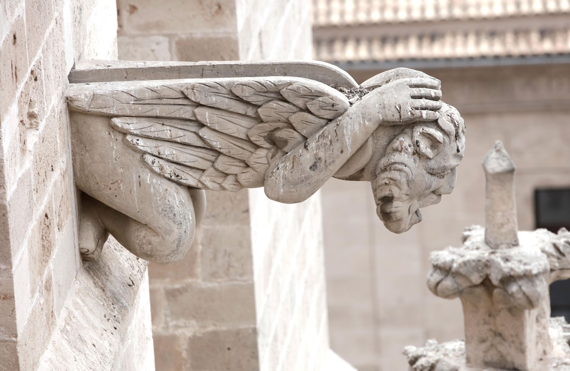 Spektakuläre Aussicht: So ist der Blick von der Dachterrasse der Kathedrale in Palma de Mallorca