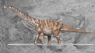 Descubren una nueva especie de dinosaurio que vivió en los Pirineos hace 70 millones de años