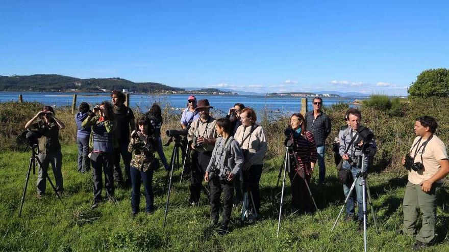 Participantes en una de las jornadas de observación de aves promovidas por SEO/BirdLife en el Complejo Intermareal Umia-O Grove. // Muñiz