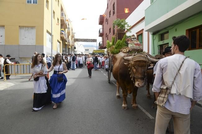 ROMERIA DE SAN ISIDRO GALDAR