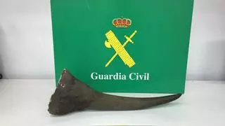 Condena de dos años y medio por robar un cuerno de rinoceronte en Bunyola