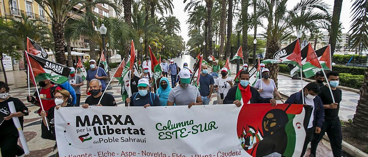 La marcha atravesó la Explanada en su inicio, con destino a su primera parada en Elche.  | HÉCTOR FUENTES