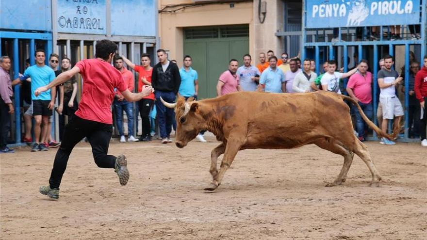 Conoce la programación festiva para la jornada de hoy en Almassora