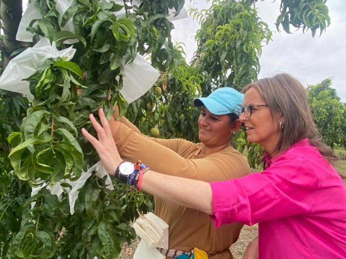 De vuelta a la campaña 55 días después