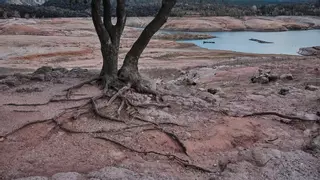 La aterradora alerta de un experto por la sequía en España: "El 60% del campo está completamente seco"