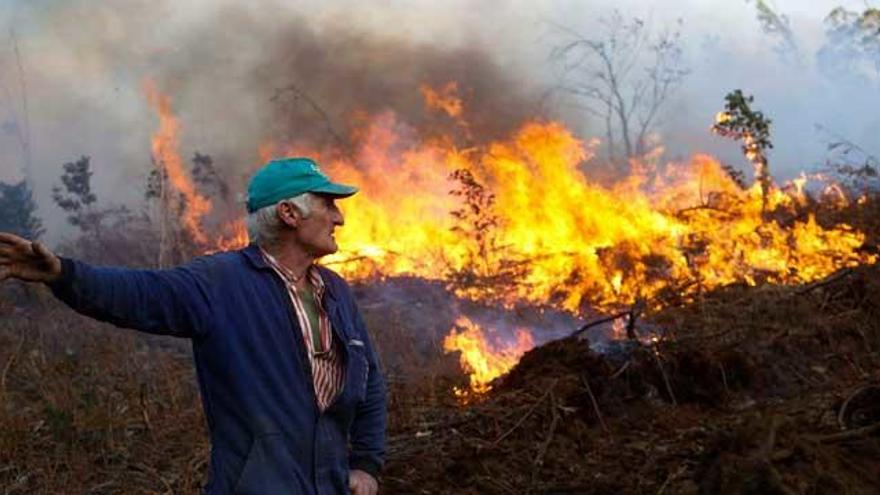 Los incendios provocaron en Asturias daños por valor de 12 millones