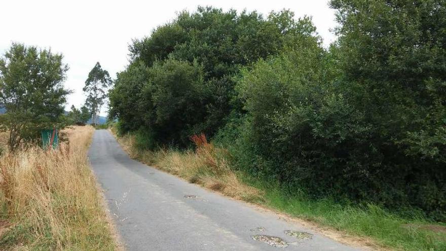 Parcela (a la derecha) donde el Concello construirá la depuradora orgánica de Pedra-Fraga, en Larín.