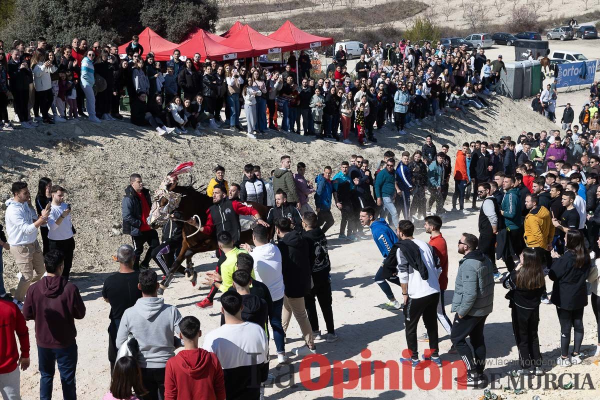 Convivencia Caballos del Vino de la Peña Artesano