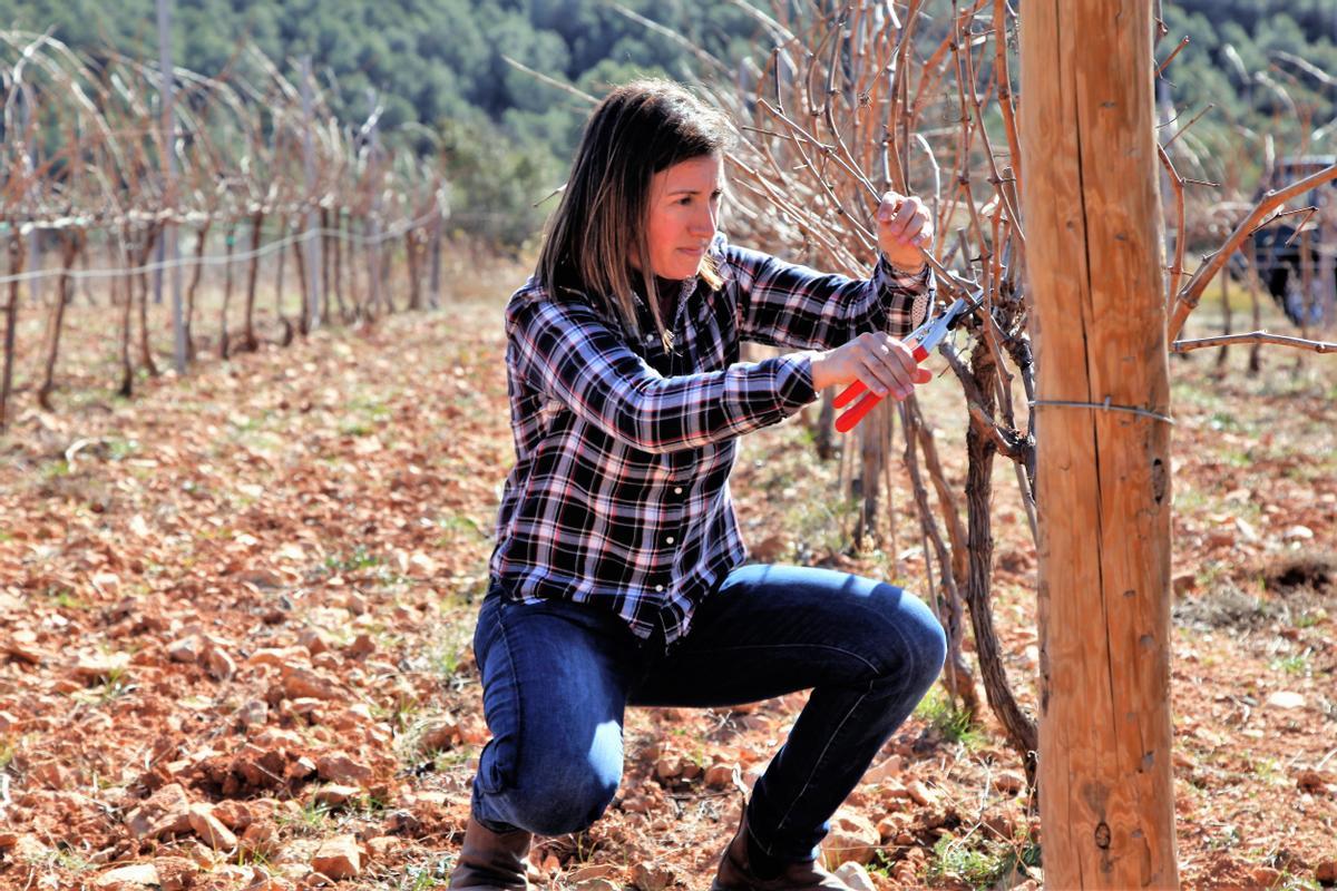 50 Viticultores del Penedès