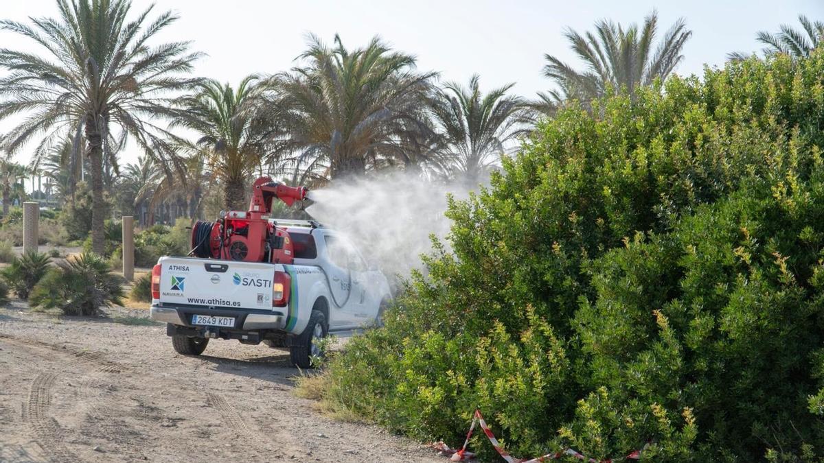 Un vehículo realiza labores de fumigación contra el virus del Nilo.