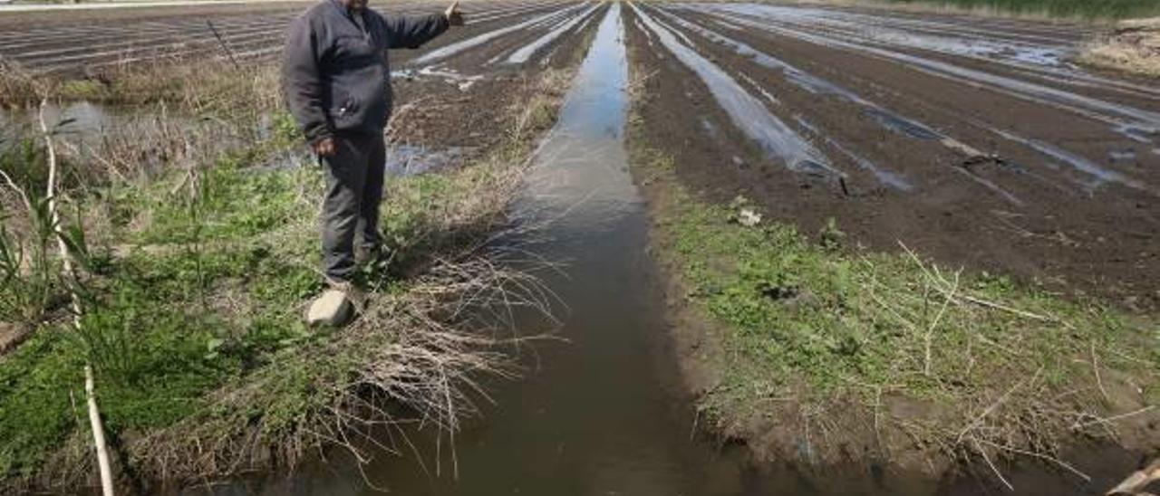 Los campos presentan un palmo de agua que impide la siembra.