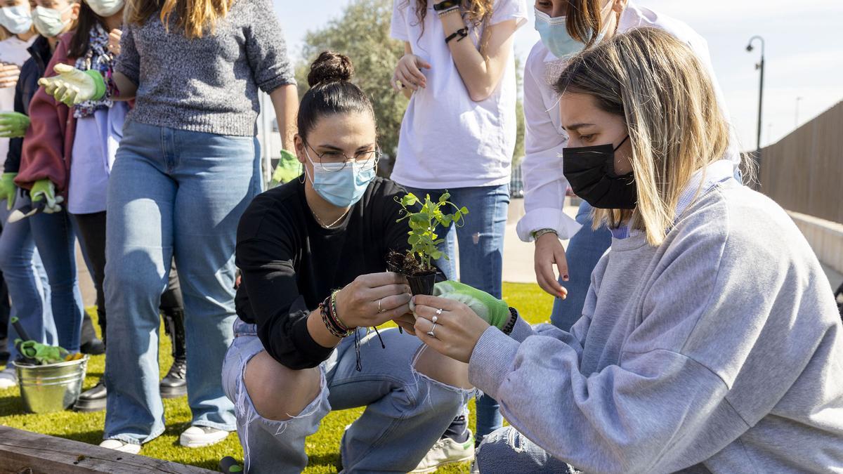 A lo largo de la semana, los estudiantes de los tres campus han mantenido encuentros -presenciales o virtuales- con más de 40 expertos de instituciones públicas y diversos sectores empresariales sobre la importancia de la sostenibilidad económica, social y ambiental.